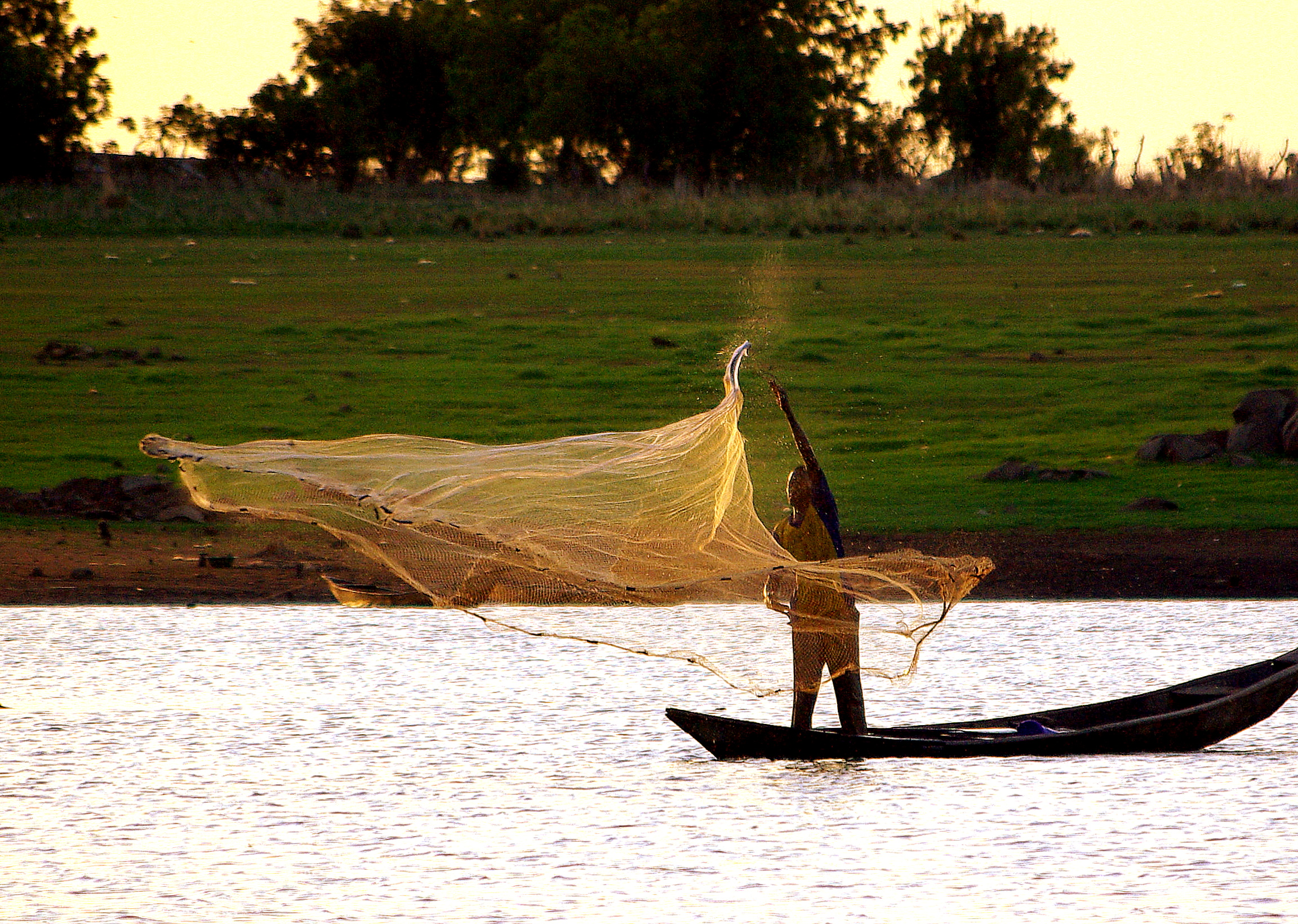 fisher casting a net