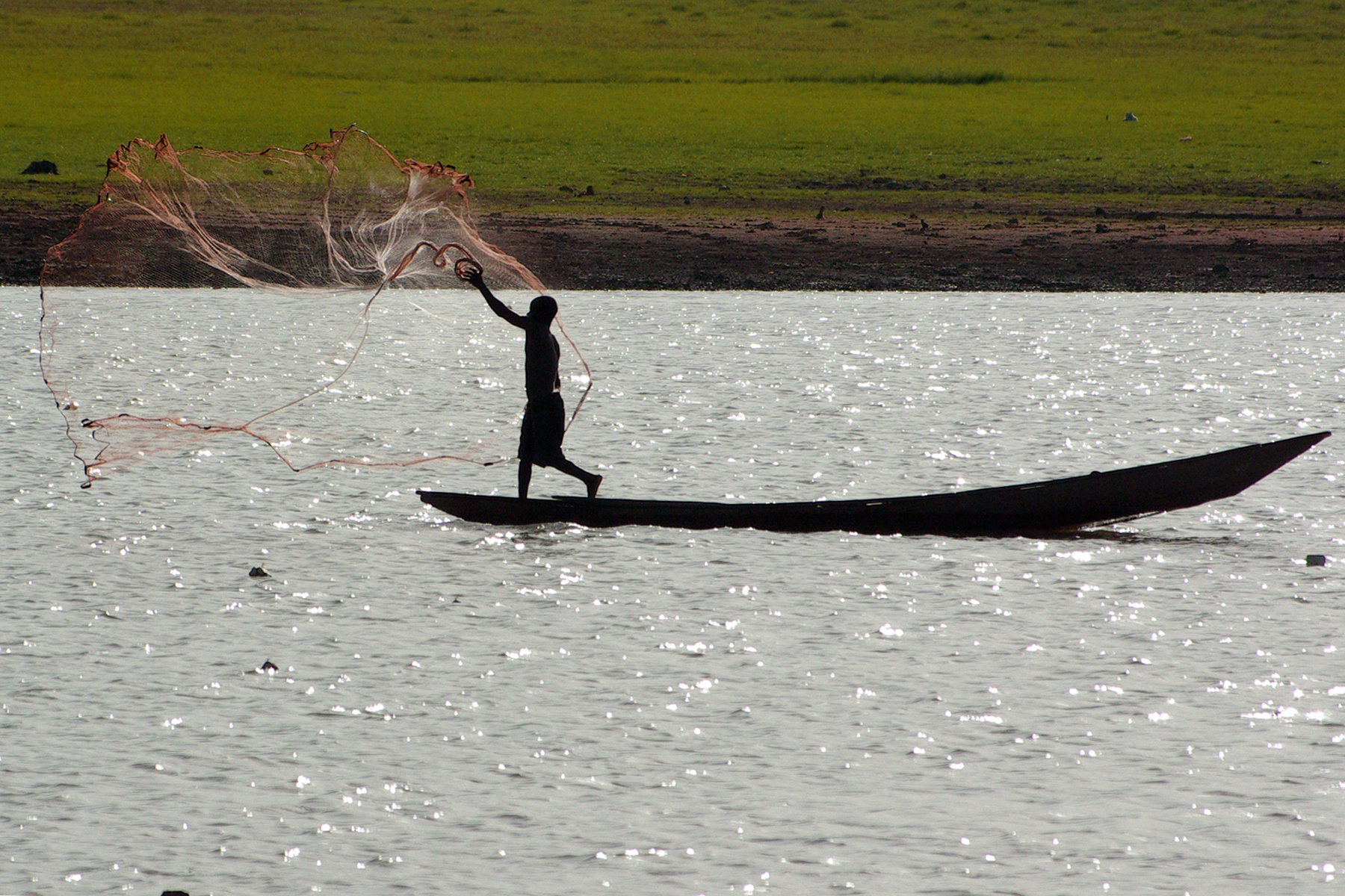 a fisher throws a net