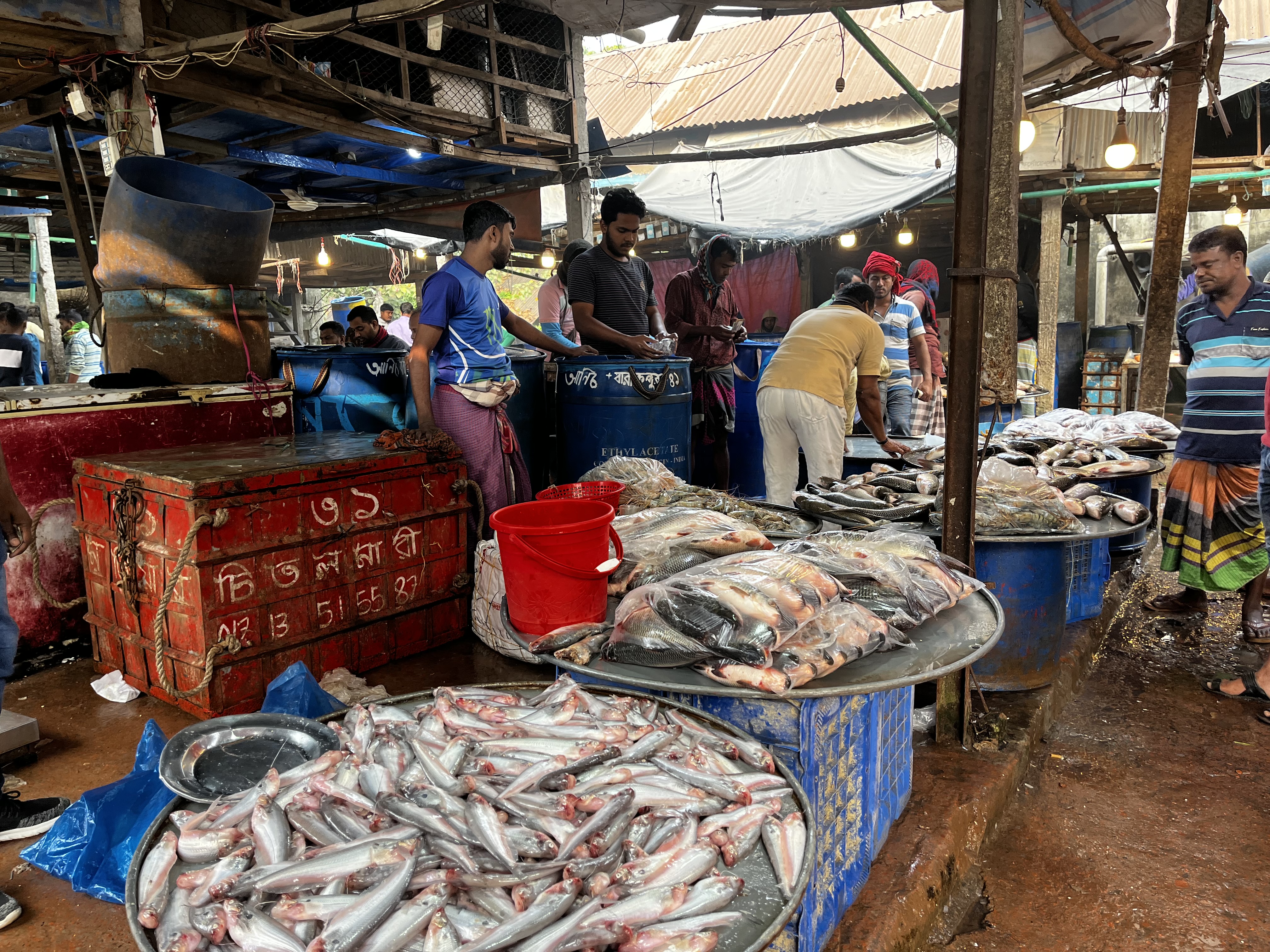 a wet fish market in Bangladesh